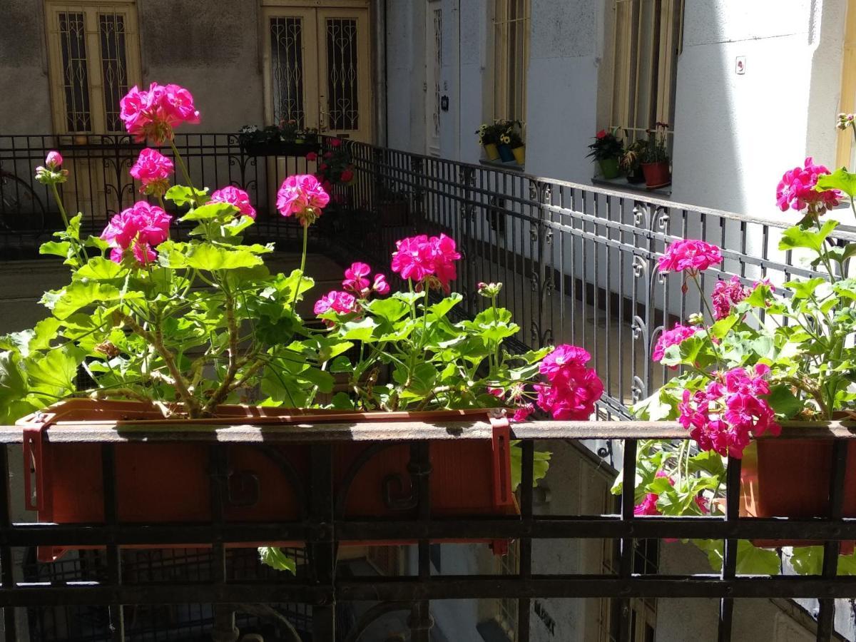 A Quiet Place In The Heart Of The City Budapest Exterior photo